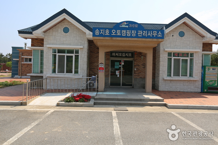 송지호 오토캠핑장(송지호오토캠핑장해수욕장)