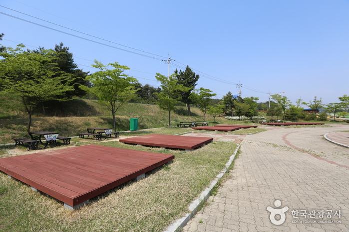 송지호 오토캠핑장(송지호오토캠핑장해수욕장)