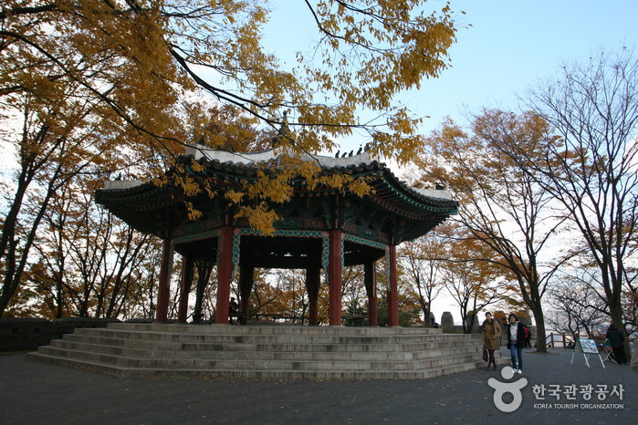 남산공원(서울)